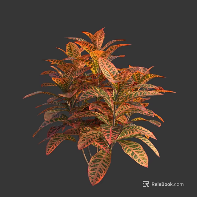 Vibrant Foliage Plant With Red Orange Yellow Green Leaves And Distinct Vein Patterns 3d model 