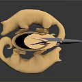 Traditional Curved Sword With Green Handle And Golden Top Silver Blade