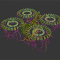 Colorful Coiled Microscopic Structures With Yellow Black Stripes And Green Filaments Model