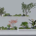 Two Tiered Plant Combination With Trees Shrubs Red Leaf And Palm Plants On White Wall