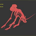Copper Colored Primate Like Animal Skeleton Anatomical Model Medical Device with Smooth Surface Reflection