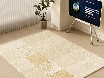 Square Rug With Beige And Light Yellow Patchwork On Wooden Floor With Potted Plant 3d model