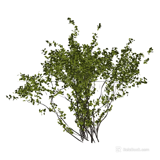 Lush Green Bush With Natural Dense Foliage And Multiple Branches 3d model 