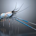 Detailed 3D Rendered Shrimp With Long Antennae And Blue Claws In High Definition Close Up