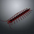 Red Centipede 3D Model With Segmented Body And Long Legs On Gray Background 3d model