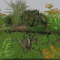Lush Garden Flowers and Plants Featuring Moss Covered Tree Trunk Green Foliage and Orange Leaves