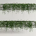 Lush Green Vines Growing On Hanging Wooden Shelves With Dangling Leaves And Dense Foliage