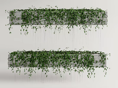 Lush Green Vines Growing On Hanging Wooden Shelves With Dangling Leaves And Dense Foliage 3d model