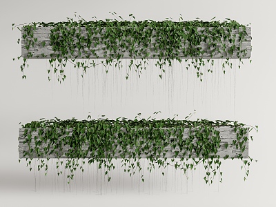 Modern Vine Creeper Vine Hanging Plant Combination Climbing Vine 3d model