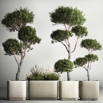 Ji Bonsai Green Plant 3d model