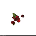 Fresh Ripe Juicy Raspberries With Green Leaves On White Background