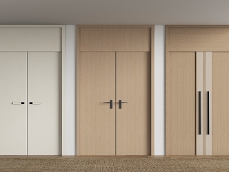 Modern double door 3d model