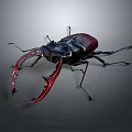 Modern beetle dung beetle chafer 3d model