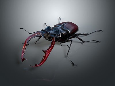 Modern beetle dung beetle chafer 3d model