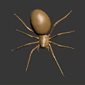 Shiny Golden Spider Sculpture With Metallic Body And Detailed Legs On Reflective Surface