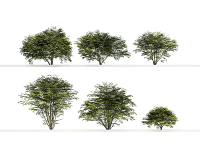 Various Sizes of Lush Green Arbor Trees With Dense Foliage in Natural Scene 3d model