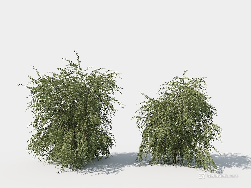 Two Green Shrubs with Lush Foliage and Bushy Branches in Outdoor Garden 3d model 
