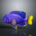 Vibrant Purple Tropical Fish With Blue Spots And Yellow Tail In Aquatic Environment