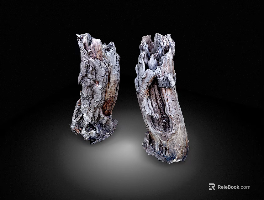 Two Irregular Wood Stone Decorative Pieces With Natural Texture On Black Background 3d model 