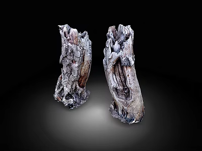 Two Irregular Wood Stone Decorative Pieces With Natural Texture On Black Background 3d model