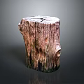 Natural Tree Stump With Rough Wood Texture And Weathered Plant Growth
