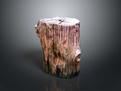 Natural Tree Stump With Rough Wood Texture And Weathered Plant Growth 3d model