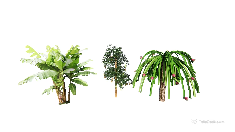 Various Crop Plants Featuring Banana Trees Fruit Bearing Shrubs And Long Green Leaves 3d model 