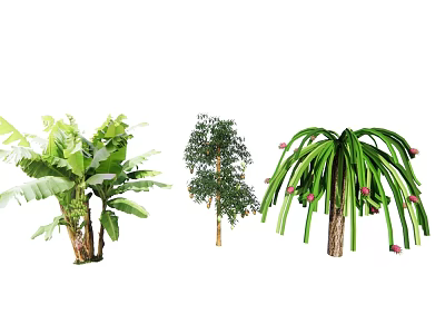 Various Crop Plants Featuring Banana Trees Fruit Bearing Shrubs And Long Green Leaves 3d model
