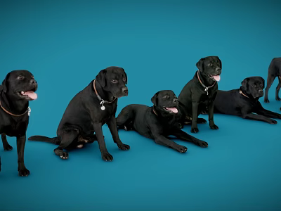 Various Reptile Species Displaying Natural Behaviors On Blue Studio Background 3d model