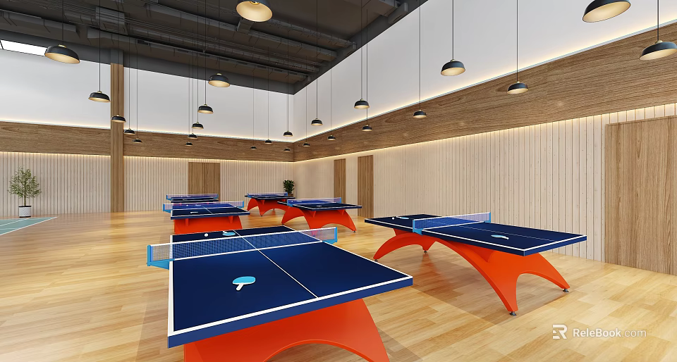 Indoor Sports Fitness Space With Multiple Table Tennis Tables And Modern Design 3d model 