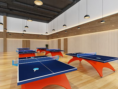 Indoor Sports Fitness Space With Multiple Table Tennis Tables And Modern Design 3d model