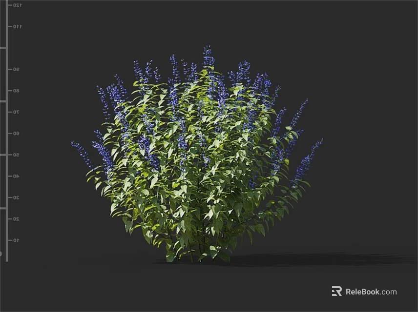 Lush Green Leafy Plant With Vibrant Purple Flowers In Full Bloom 3d model 