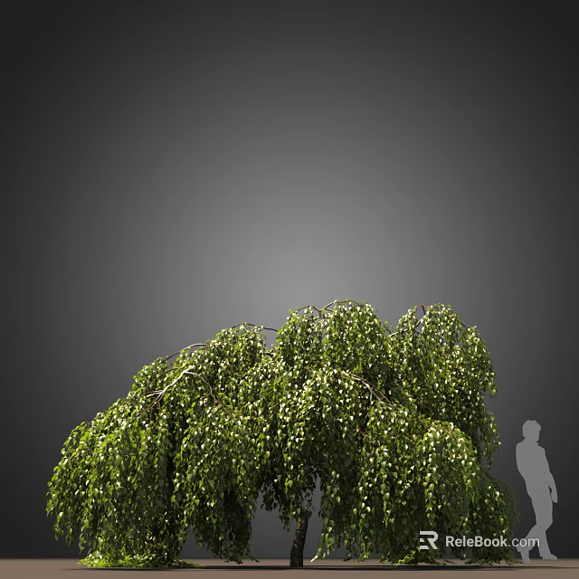 Lush Green Tree with Weeping Branches and Dense Foliage Beside Human Silhouette 3d model 
