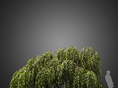 Lush Green Tree with Weeping Branches and Dense Foliage Beside Human Silhouette 3d model