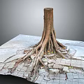 Natural Wood Tree Stump with Exposed Roots Growing Through Cracked Stone Slabs