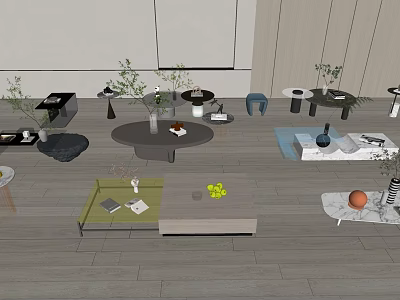 Various Modern Coffee Tables In Living Room With Decorative Plants And Fruits 3d model
