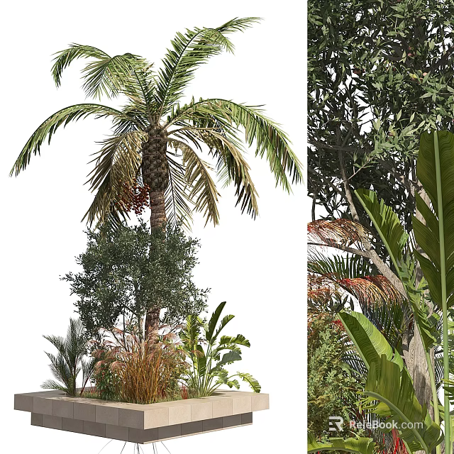 Indoor Decorative Bonsai and Potted Plants With Palm Olive Tree and Greenery Arrangement 3d model 