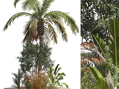 Indoor Decorative Bonsai and Potted Plants With Palm Olive Tree and Greenery Arrangement 3d model
