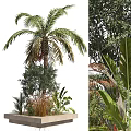 Indoor Decorative Bonsai and Potted Plants With Palm Olive Tree and Greenery Arrangement