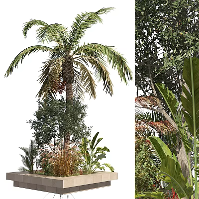 Indoor Decorative Bonsai and Potted Plants With Palm Olive Tree and Greenery Arrangement 3d model