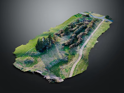 Lush Scenic Garden Landscape with Dense Trees and Winding Pathway Natural Greenery Elements 3d model