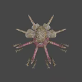 Fantasy Octopus Like Game Movie Character With Rock Head Multiple Tentacles And Pink Brown Color