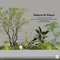 Indoor Landscape With Various Green Plants Nature And Peace Theme Modern Wall And Lighting