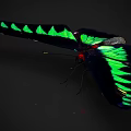 Vibrant Butterfly with Black Wings Bright Green Patterns and Red Body on Dark Background