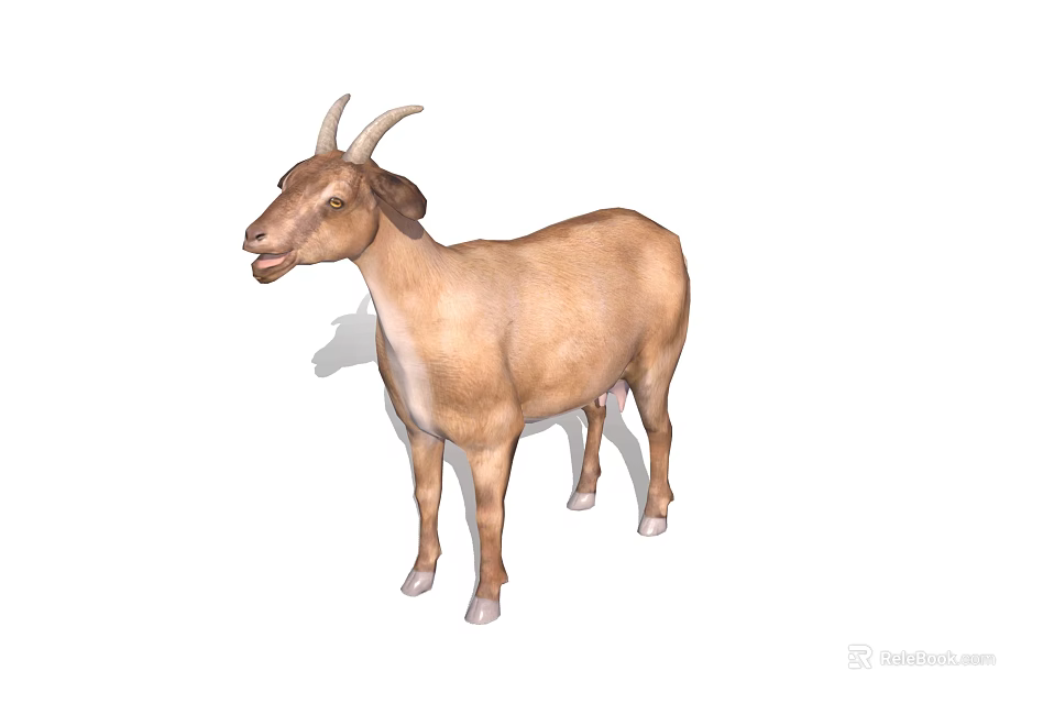 Brown Goat With Curved Horns And White Belly Standing Isolated On White Background 3d model 