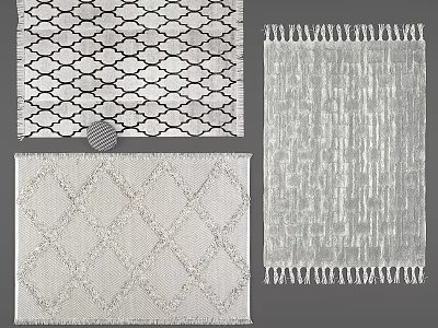 Modern Square Rugs with Various Geometric Patterns Woven Textures and Fringed Edges 3d model