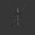 Metallic 3D Ant Sculpture with Long Detailed Legs on Dark Background