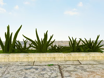 Lush Green Aloe Plants On Stone Wall With Stone Pavement Blue Sky And White Clouds 3d model
