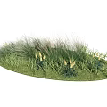 Grass and Flower Garden in Circular Lawn With Diverse Greenery and Yellow Blooms
