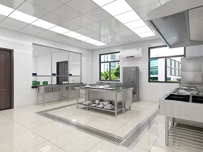 Commercial Kitchen Design With Stainless Steel Worktables Ventilation And Storage Cabinets 3d model